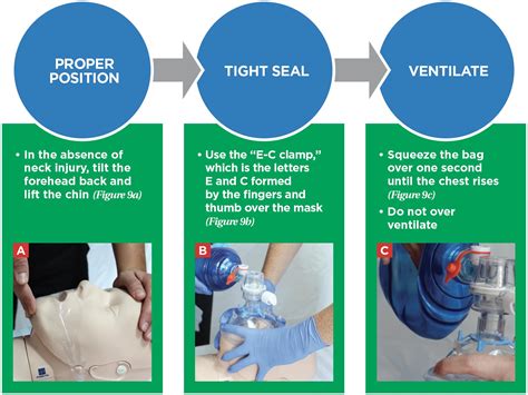 Bag valve mask ventilation <b>is </b>a skill <b>of </b>utmost important for emergency providers. . What is the correct volume of air to deliver during bvm ventilations american red cross